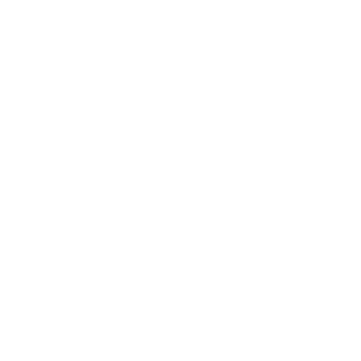 Information Icon